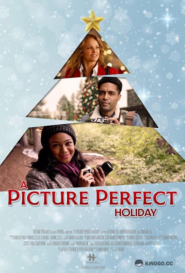 Фотография идеального праздника A Picture Perfect Holiday (2021)