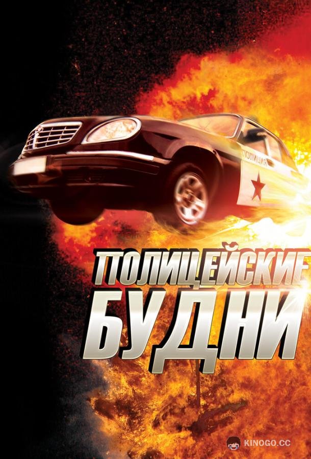 Полицейские будни  (2012)